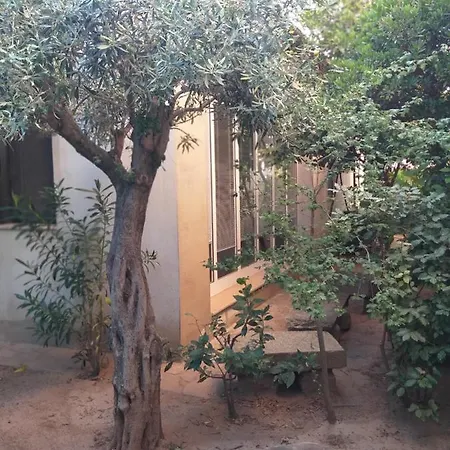 I Ginepri * Olbia